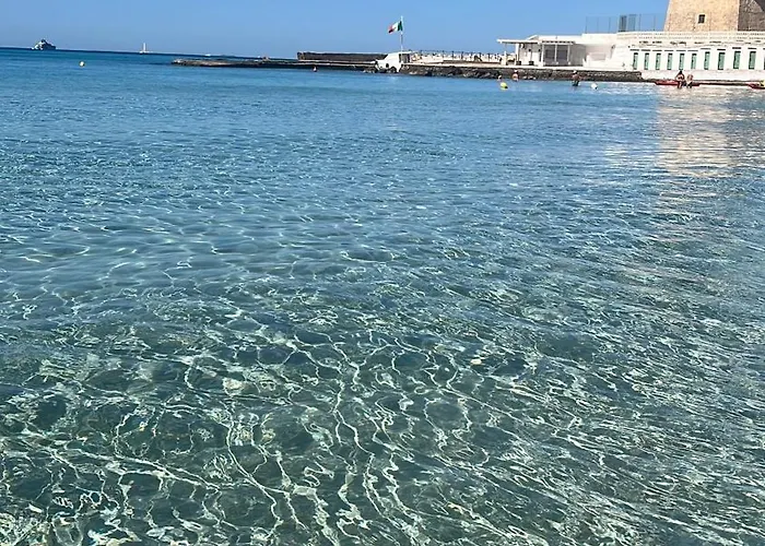 Delfino Fronte Mare *